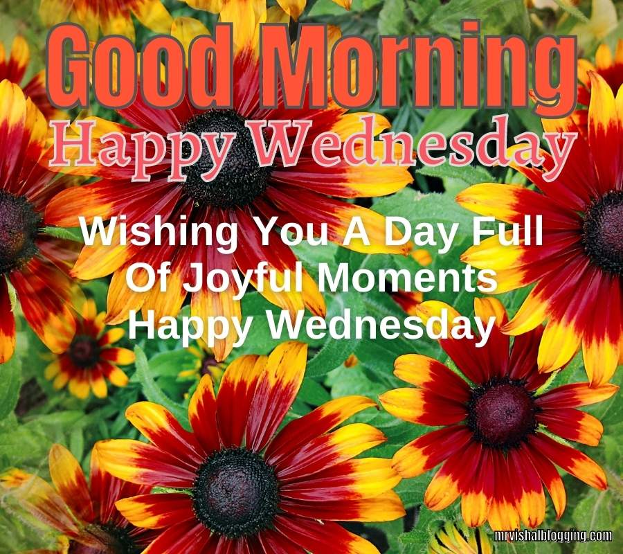 Good Morning Happy Wednesday Images And Quotes HD Download