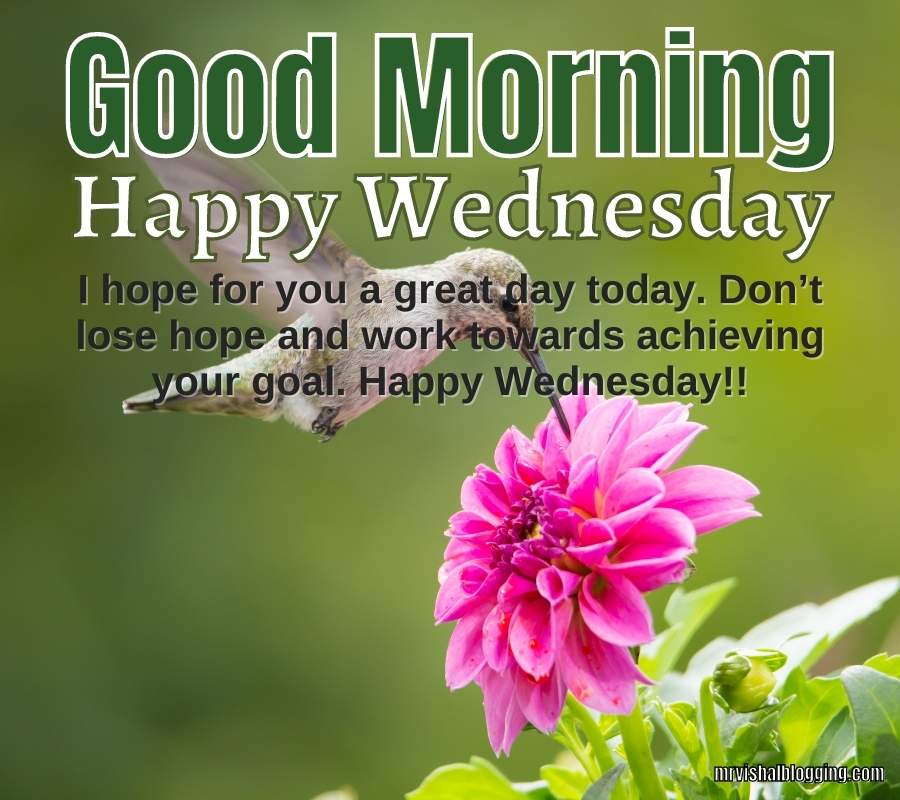 Good Morning Happy Wednesday Images And Quotes HD Download