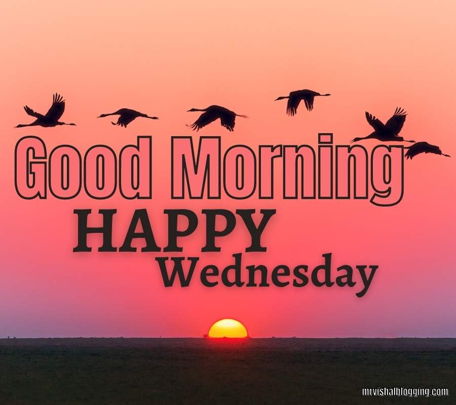 Good Morning Happy Wednesday Images And Qu