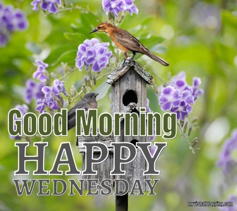 Good Morning Happy Wednesday Images And Quotes HD Download