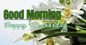 Good Morning Happy Wednesday Images And Quotes HD Download