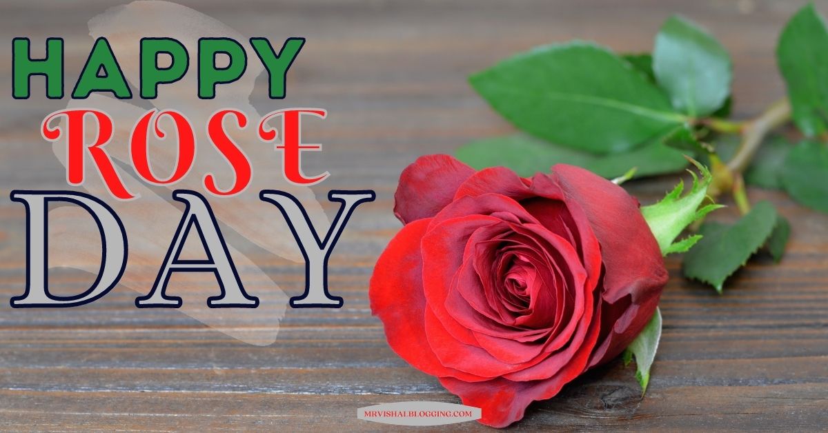 Happy Rose Day HD Images Download