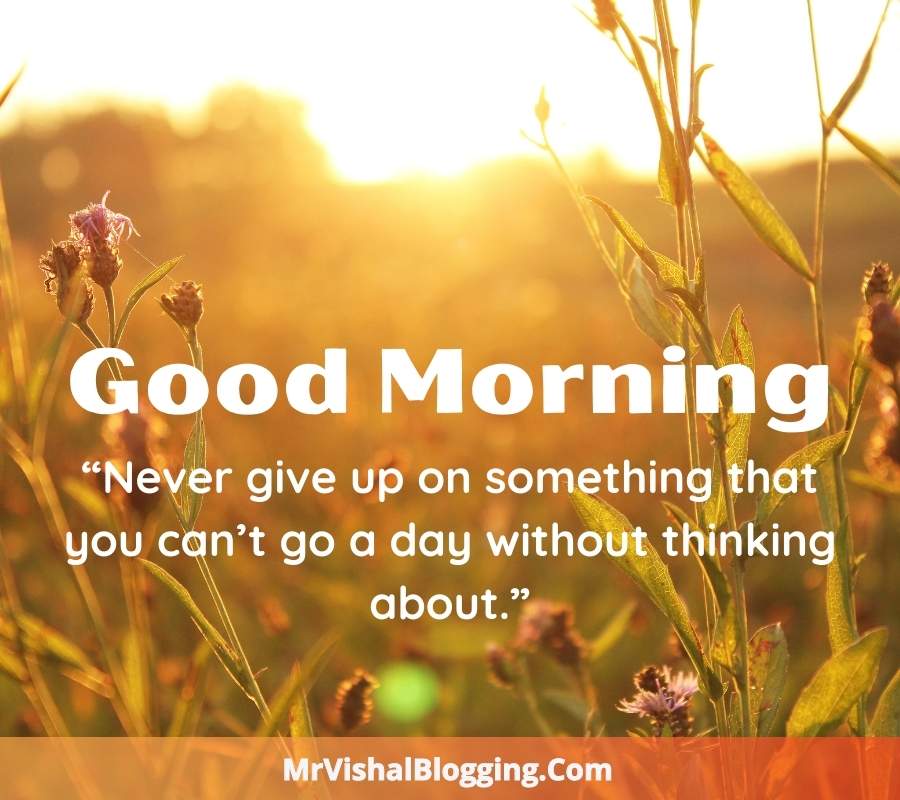 Good Morning HD Photos With Successful Words