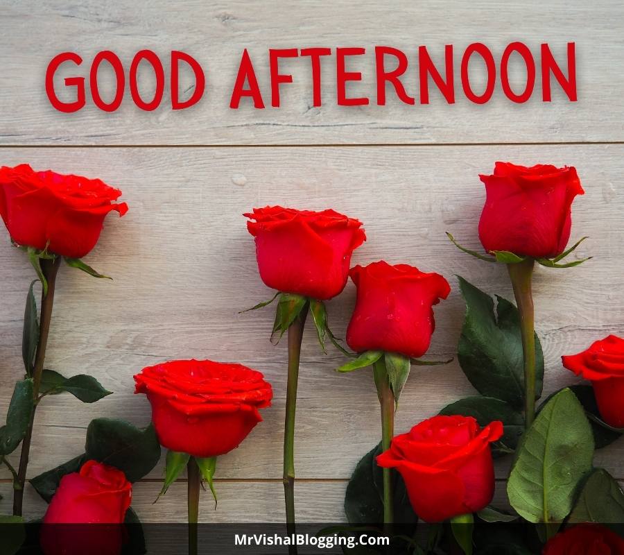 good afternoon images with red roses