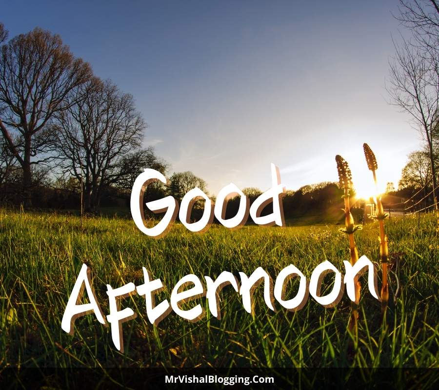 good afternoon photos download