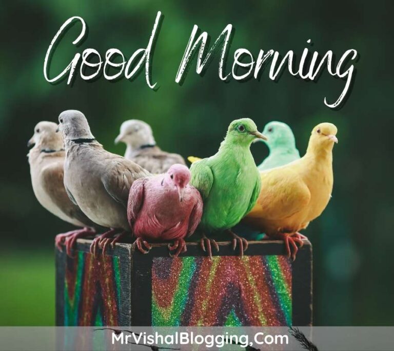 Good Morning HD Images With Flowers And Birds Download Free