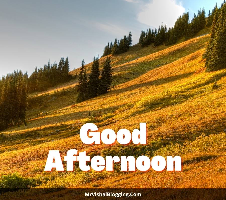 images of good afternoon