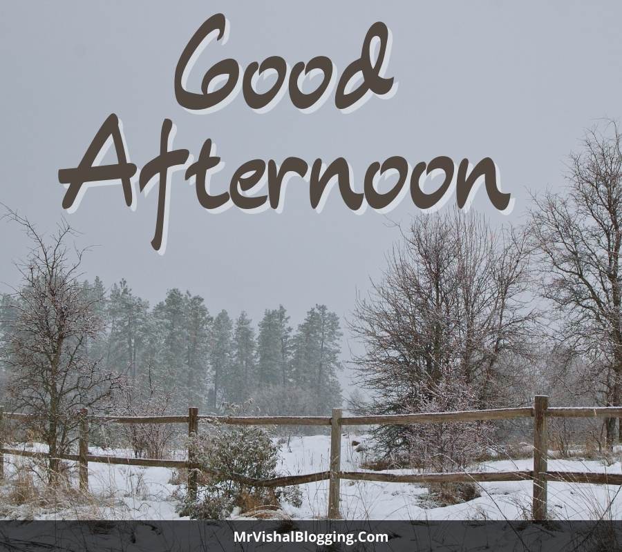 good afternoon pictures download