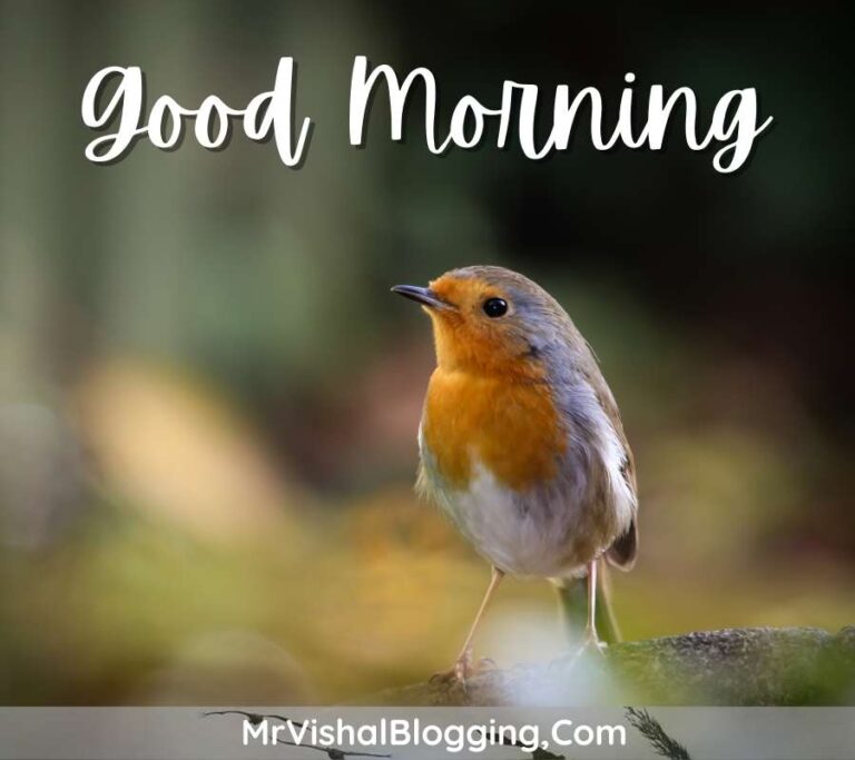 Good Morning HD Images With Flowers And Birds Download Free