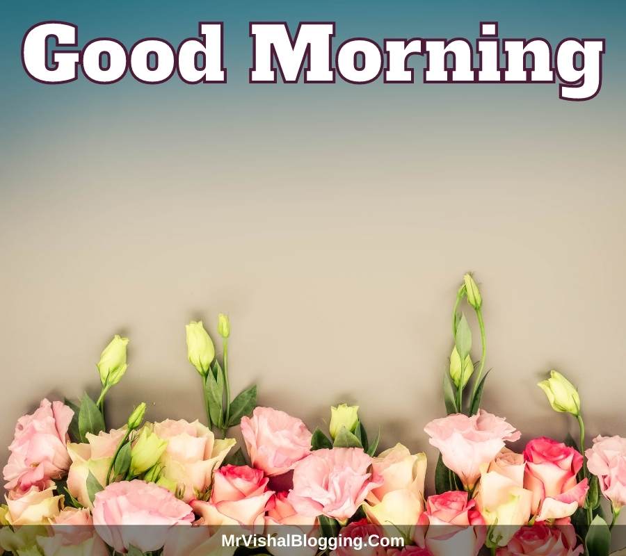 good morning pictures download