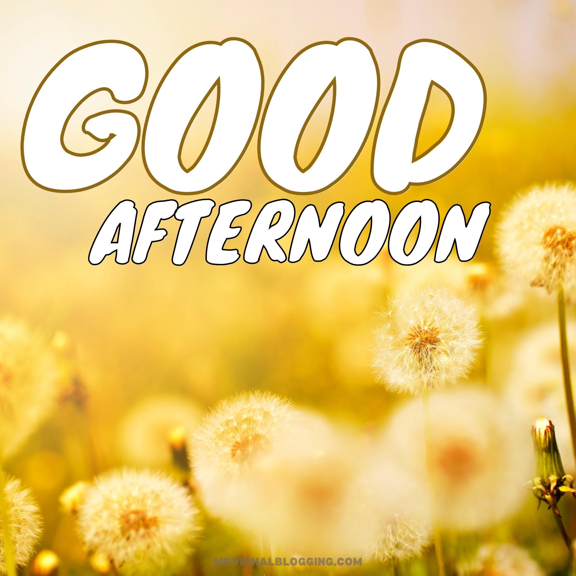 Good Afternoon HD Wallpapers