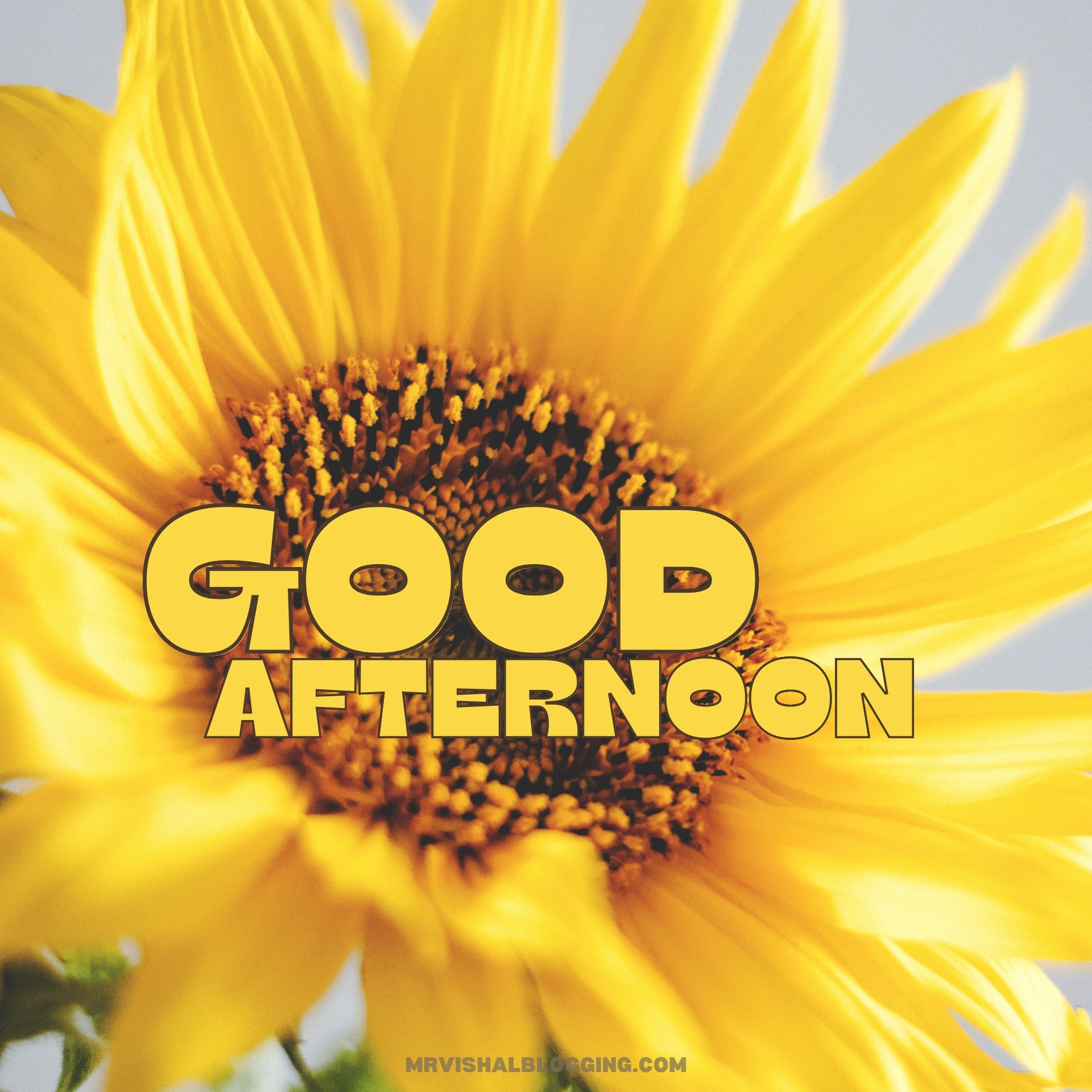 Good Afternoon HD Wallpapers