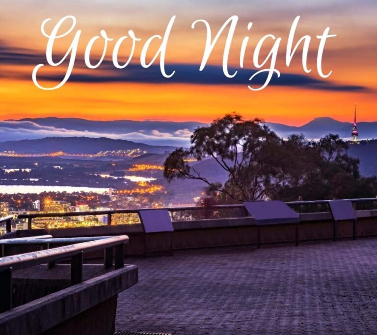 good night images for whatsapp free download good night images for whatsapp free download