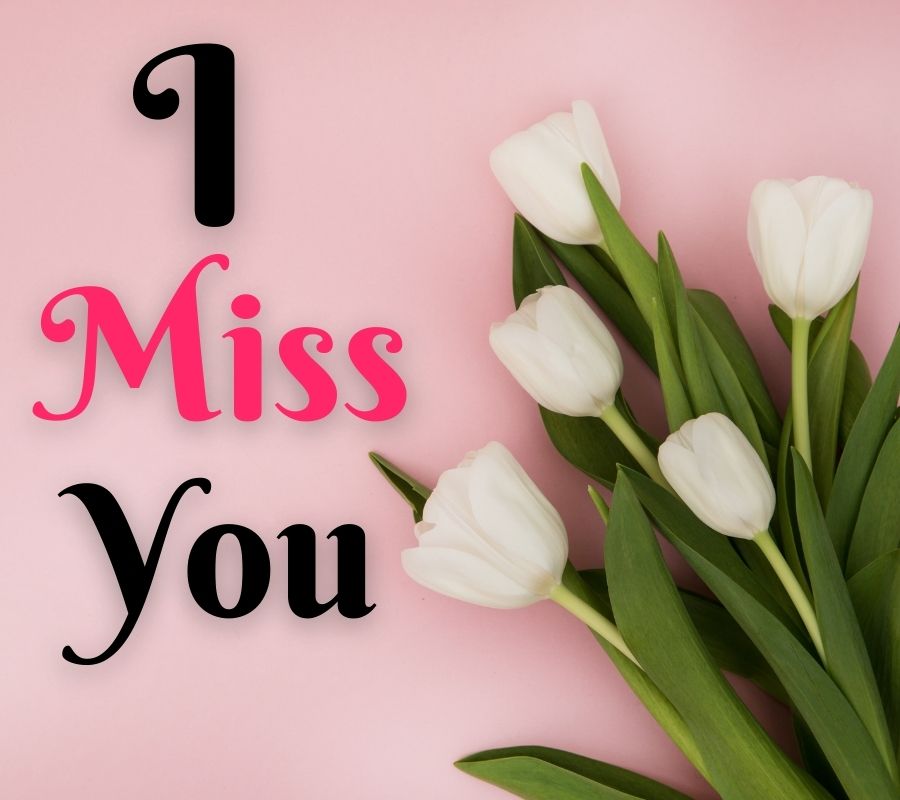 I Miss You HD Images with Flowers Download Free For Whatsapp