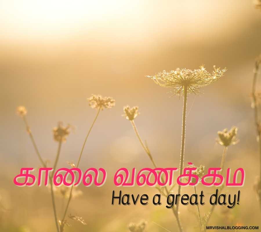 Good Morning Images In Tamil