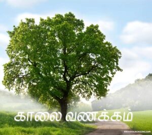 good morning images with nature quotes in tamil