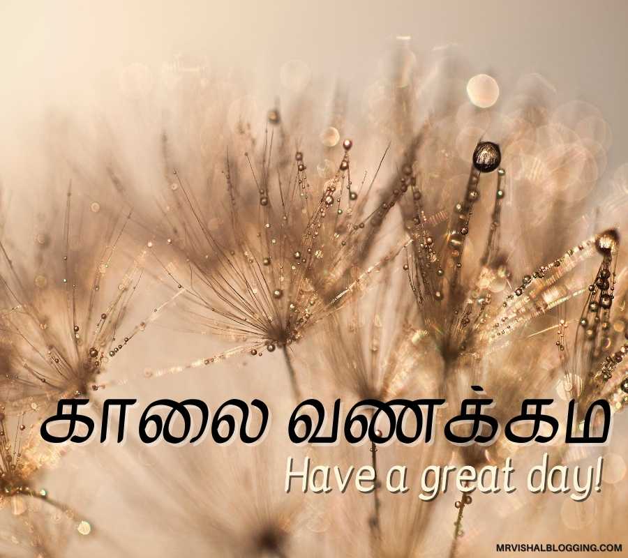 Good Morning Images In Tamil Free Download