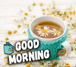 good morning images tea cup download