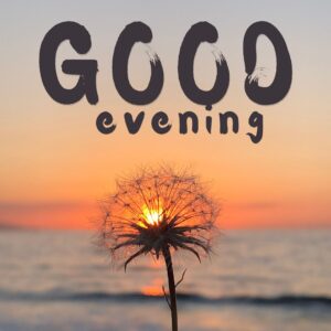 ᐅ Beautiful Good Evening Images For WhatsApp Download