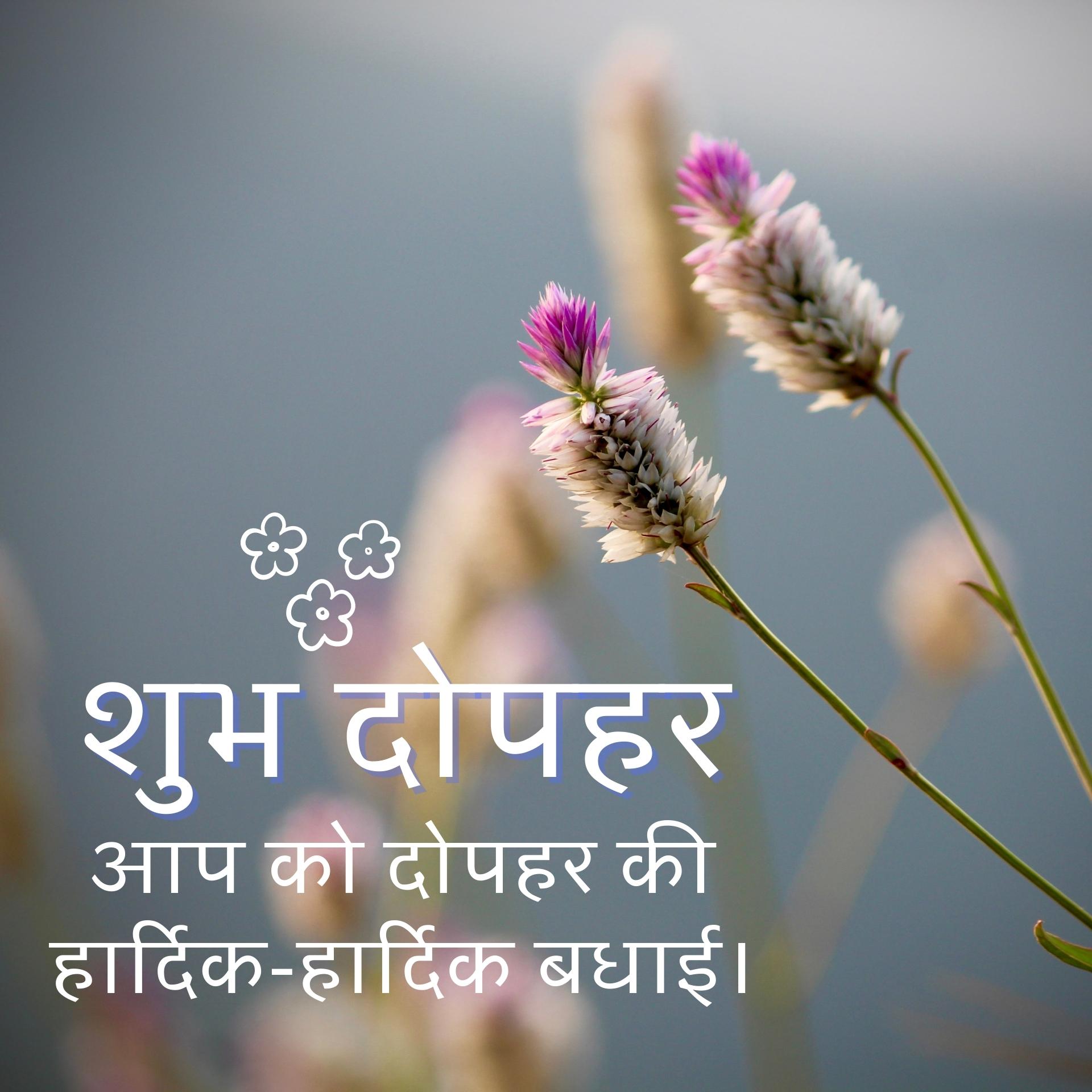 Good Afternoon Images In Hindi