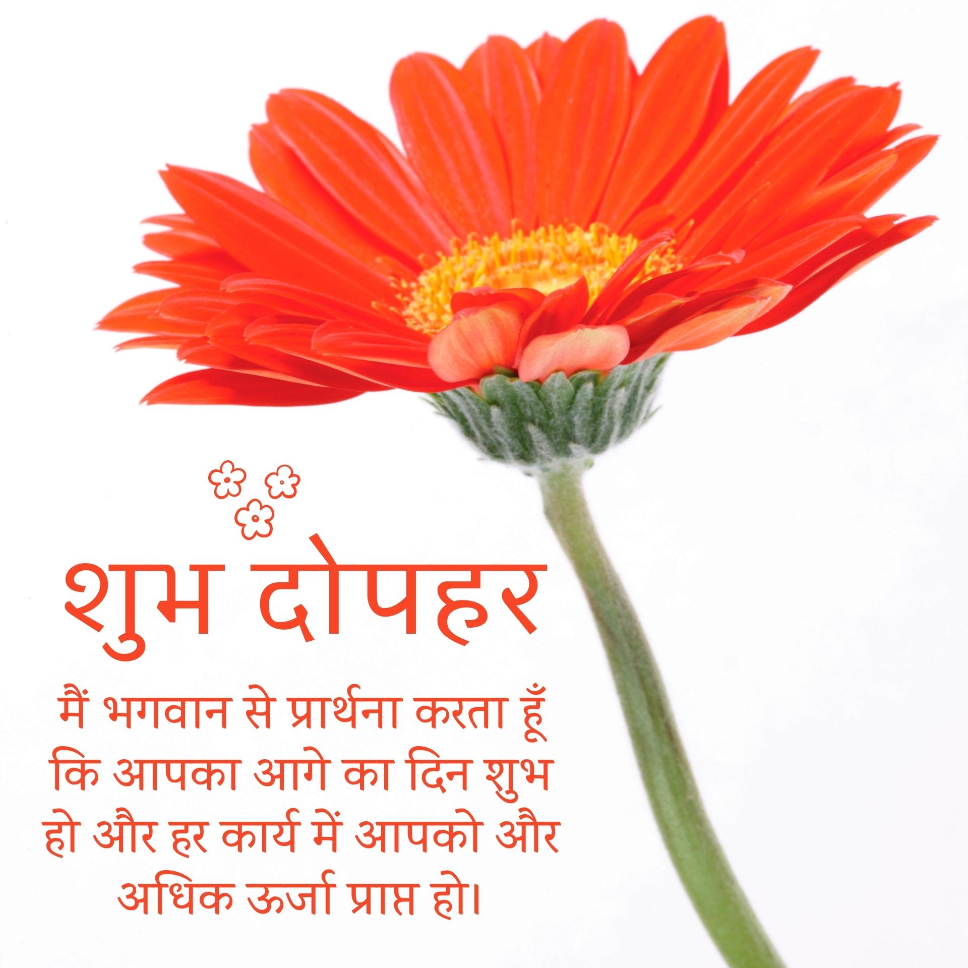 Good Afternoon Image In Hindi