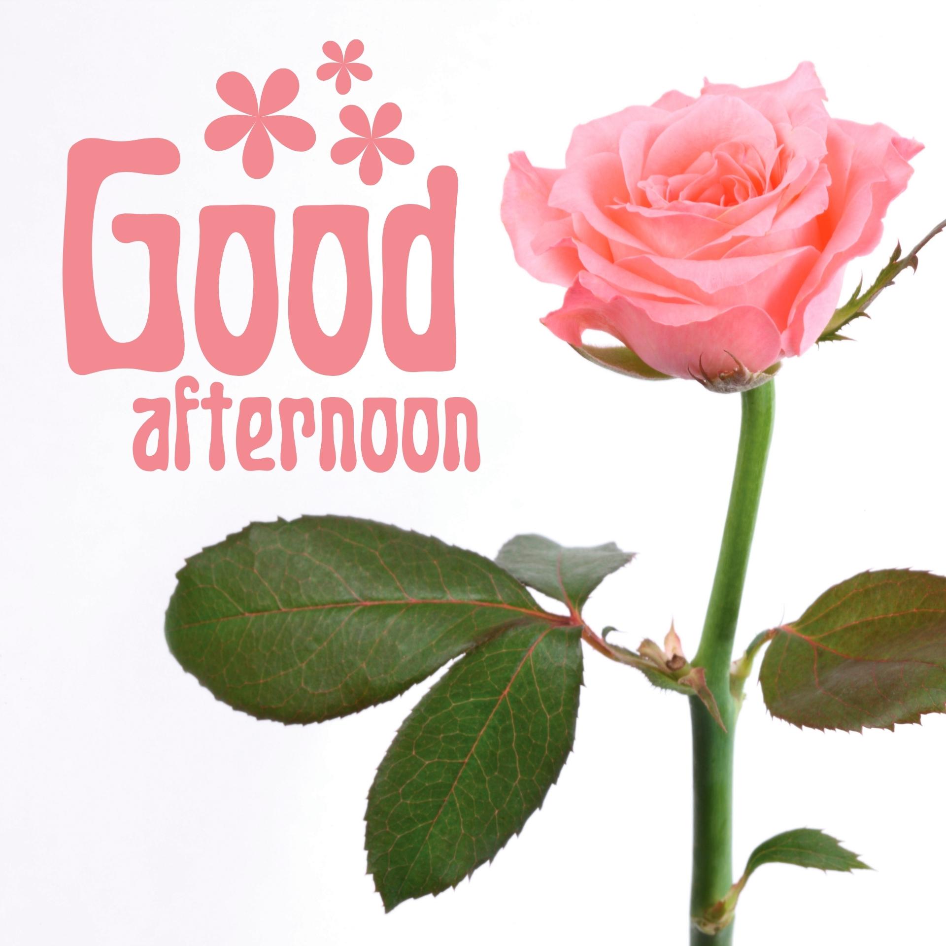 Good Afternoon Images New