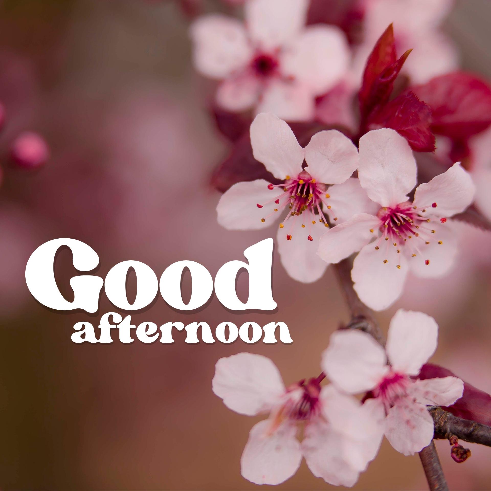 Good Afternoon Images HD