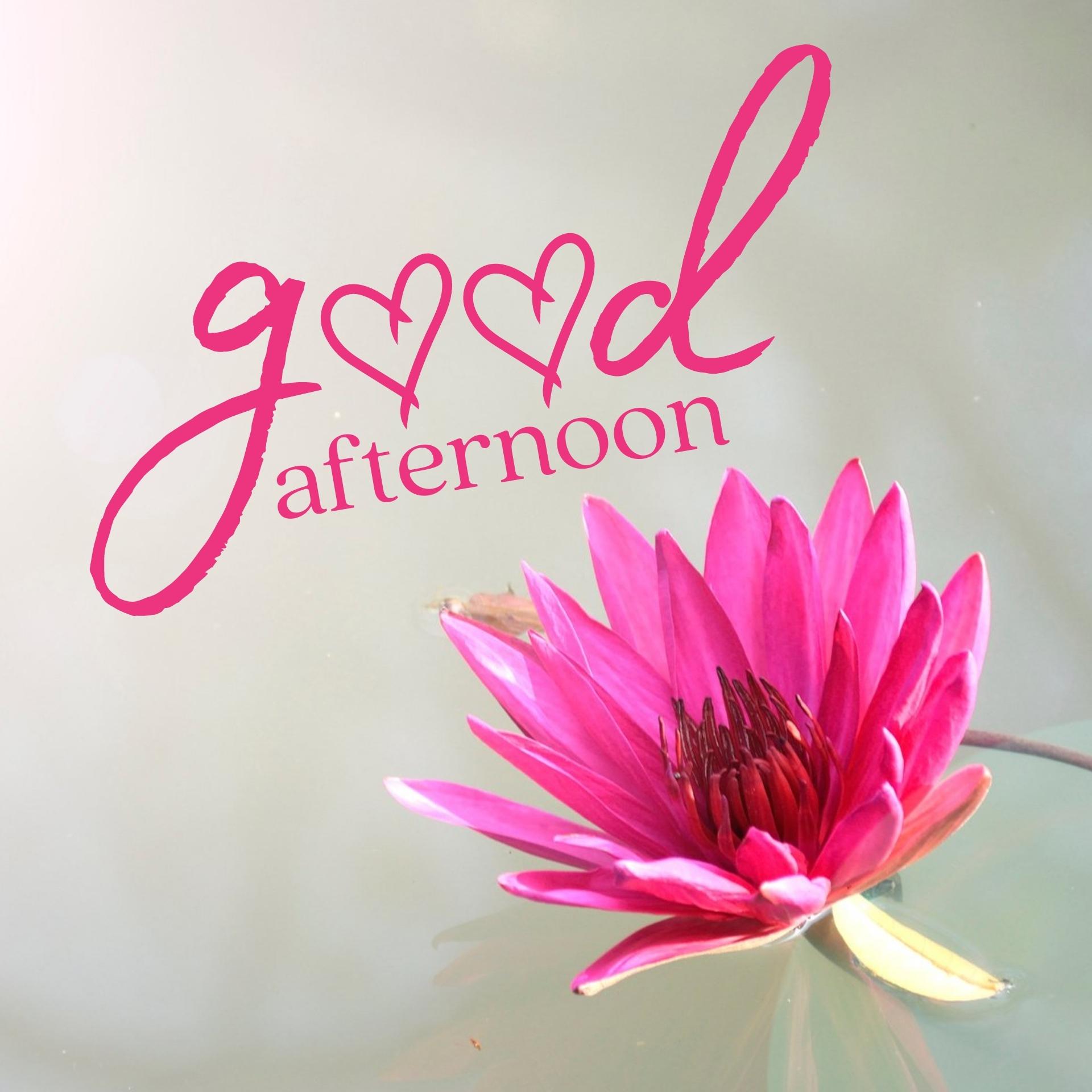 Love Good Afternoon Image